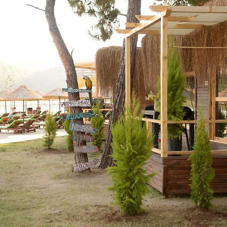 Green Pine Bungalows & Beach Luxury Concept Ölüdeniz Eksteriør billede