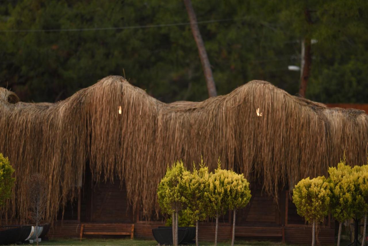 Green Pine Bungalows & Beach Luxury Concept Ölüdeniz Eksteriør billede