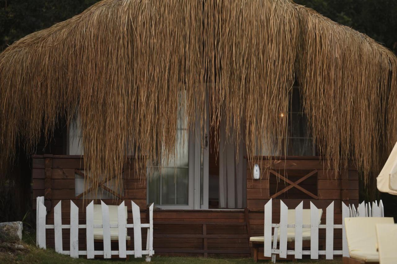 Green Pine Bungalows & Beach Luxury Concept Ölüdeniz Eksteriør billede