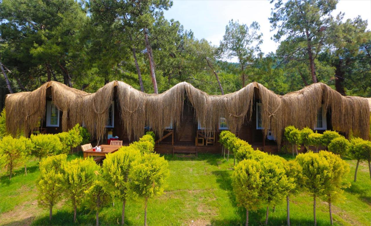 Green Pine Bungalows & Beach Luxury Concept Ölüdeniz Eksteriør billede