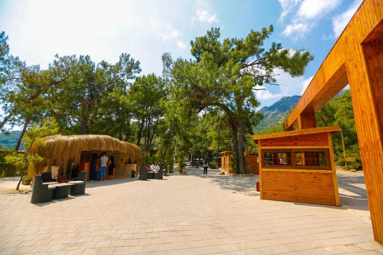Green Pine Bungalows & Beach Luxury Concept Ölüdeniz Eksteriør billede