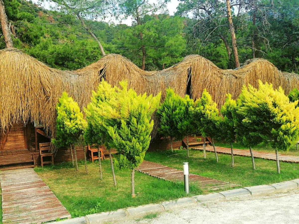 Green Pine Bungalows & Beach Luxury Concept Ölüdeniz Eksteriør billede