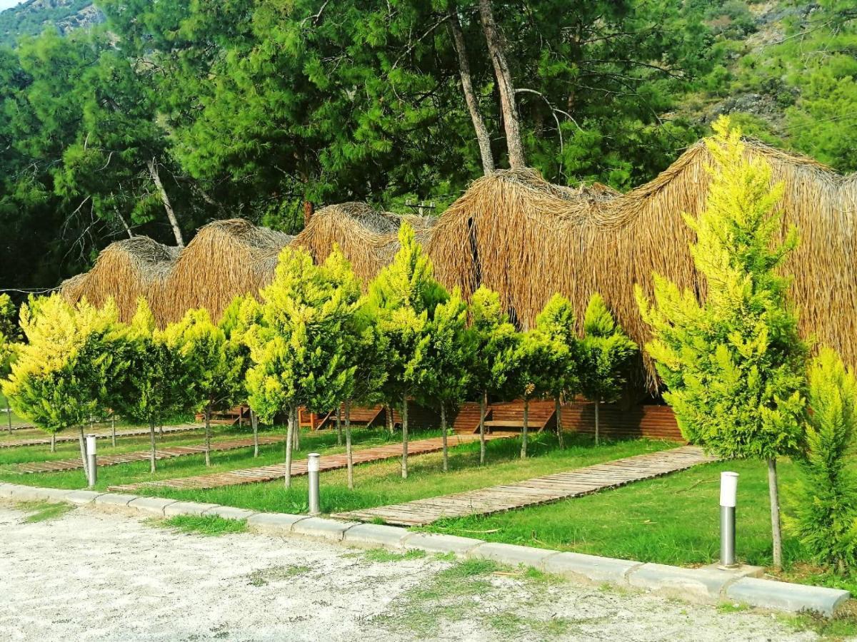 Green Pine Bungalows & Beach Luxury Concept Ölüdeniz Eksteriør billede