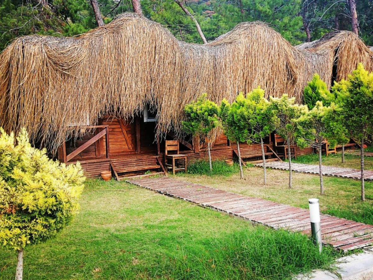 Green Pine Bungalows & Beach Luxury Concept Ölüdeniz Eksteriør billede