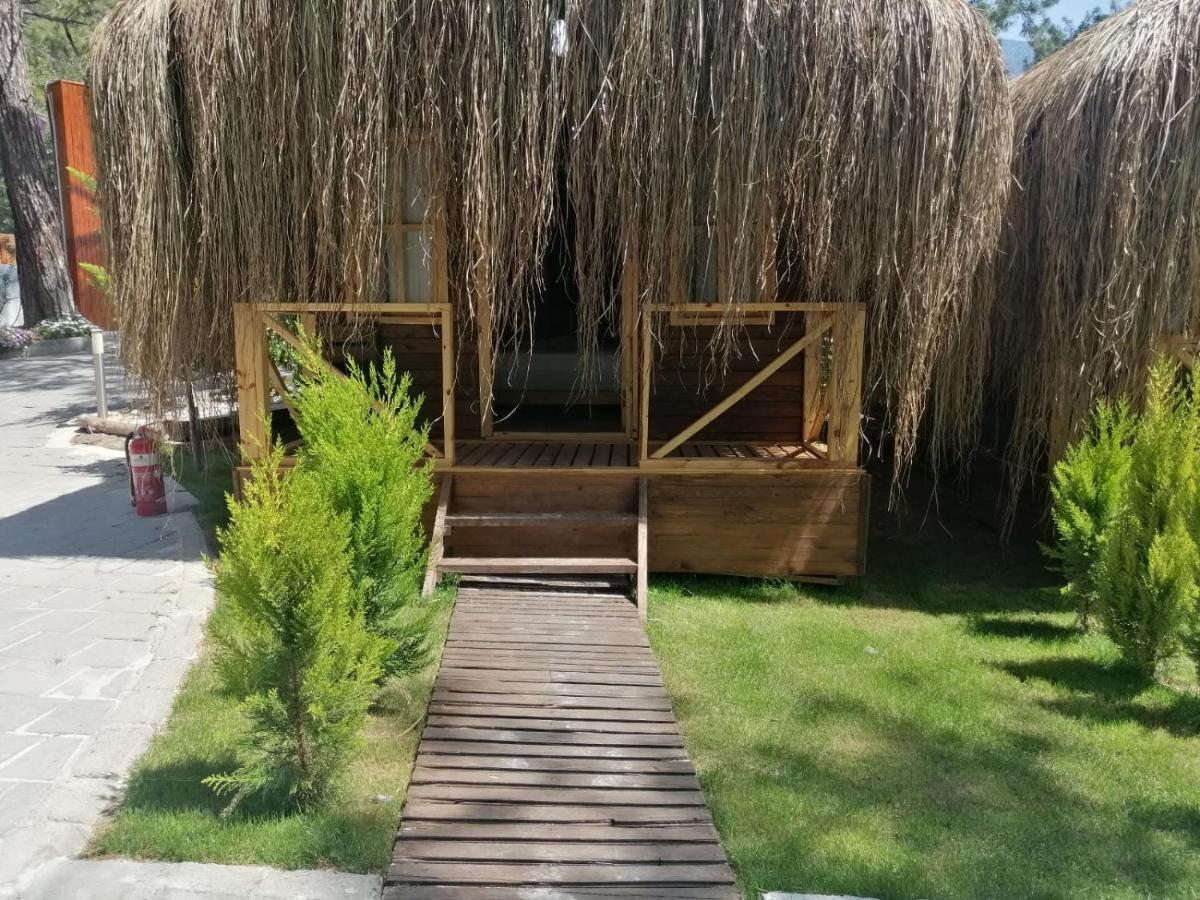 Green Pine Bungalows & Beach Luxury Concept Ölüdeniz Eksteriør billede