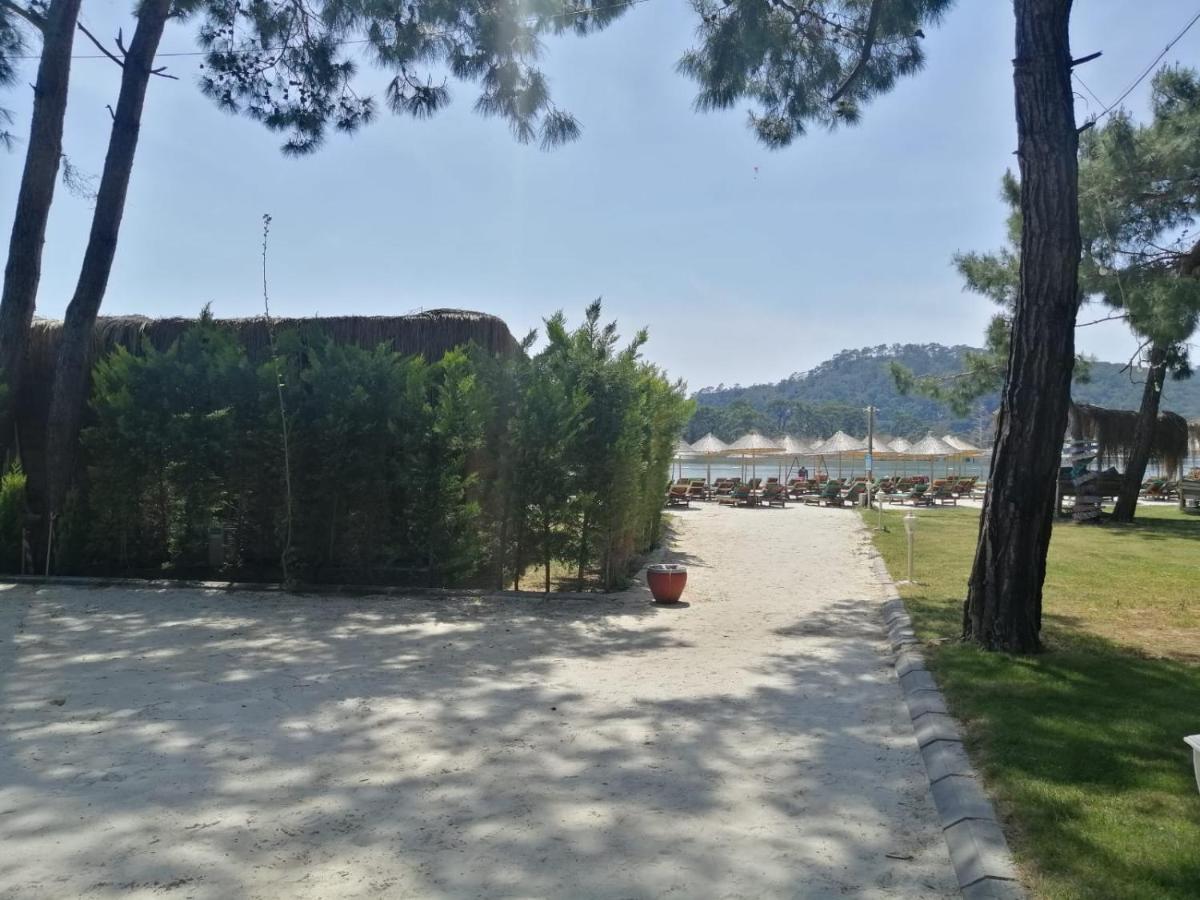 Green Pine Bungalows & Beach Luxury Concept Ölüdeniz Eksteriør billede