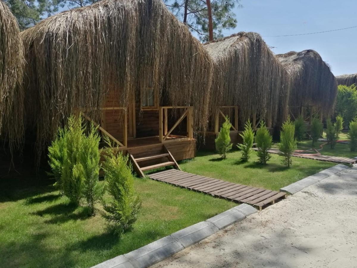 Green Pine Bungalows & Beach Luxury Concept Ölüdeniz Eksteriør billede