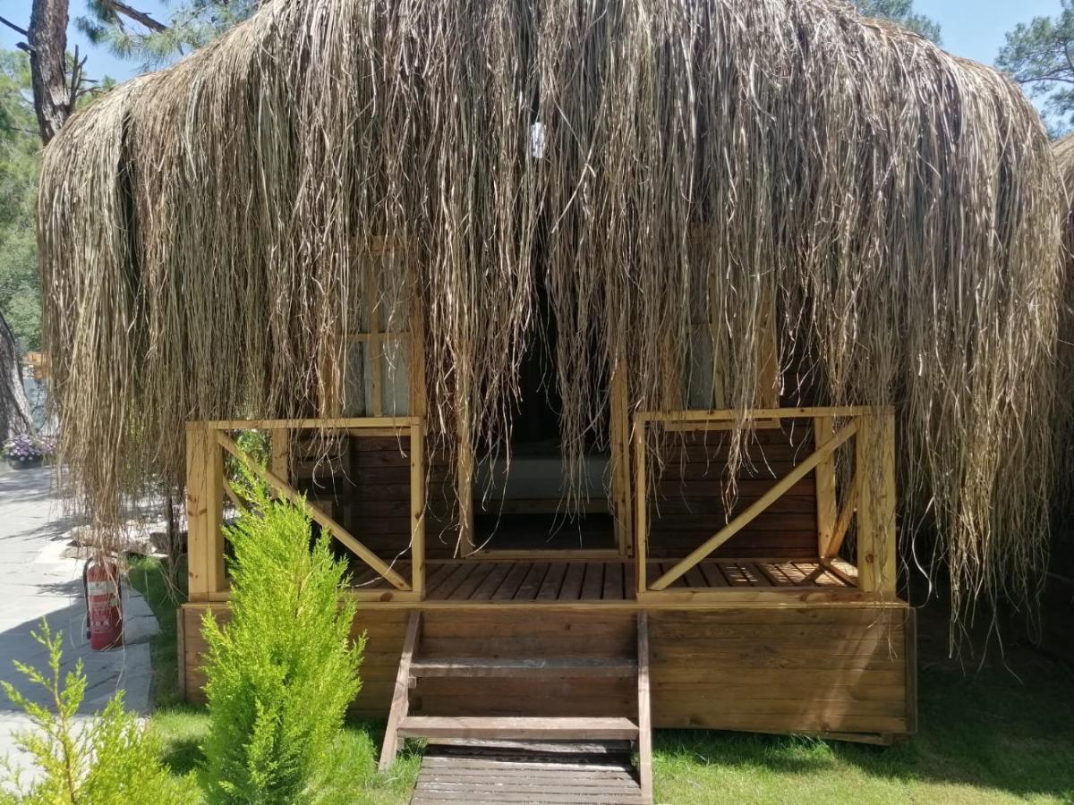 Green Pine Bungalows & Beach Luxury Concept Ölüdeniz Eksteriør billede