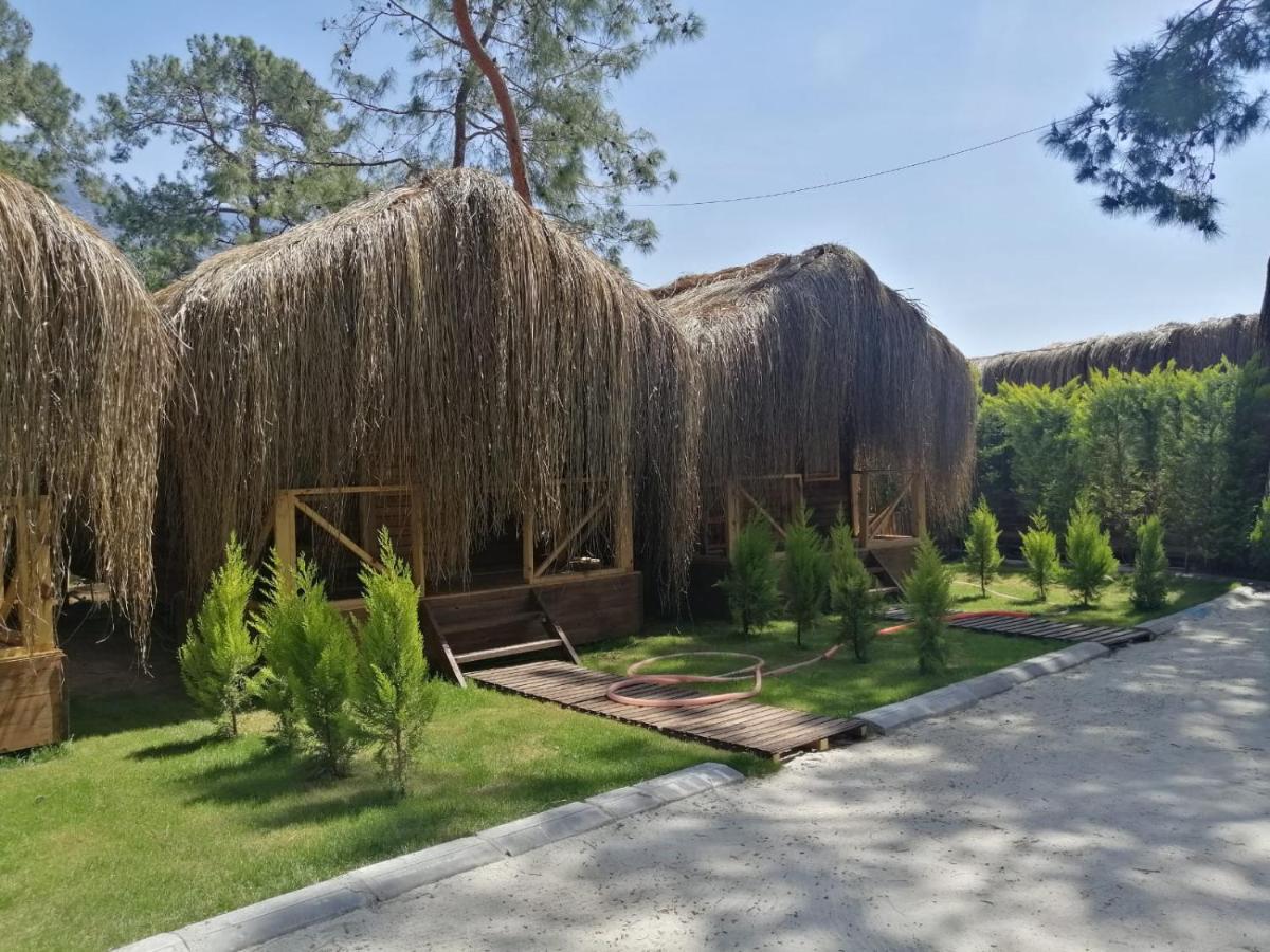 Green Pine Bungalows & Beach Luxury Concept Ölüdeniz Eksteriør billede