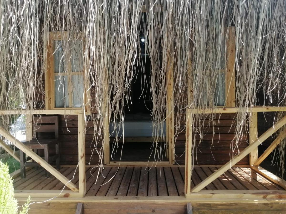 Green Pine Bungalows & Beach Luxury Concept Ölüdeniz Eksteriør billede