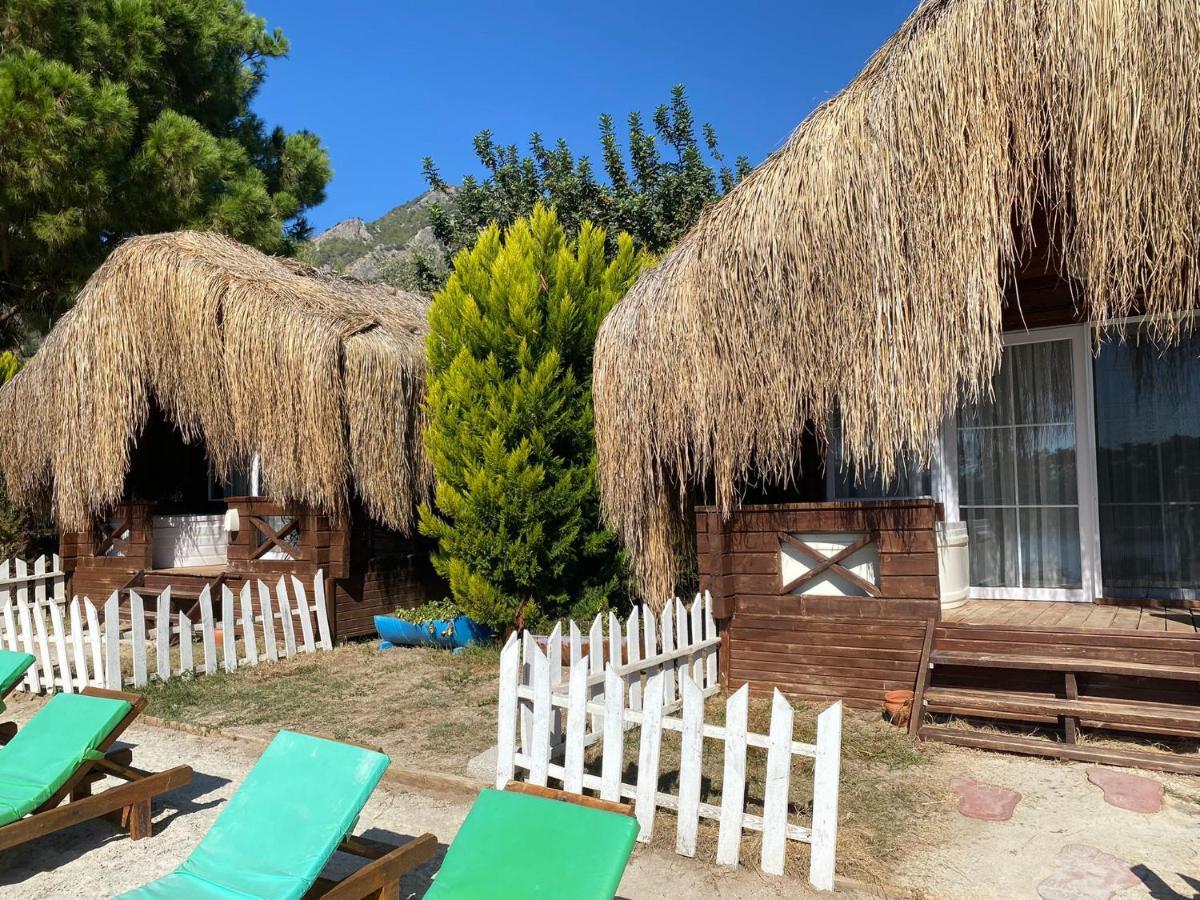 Green Pine Bungalows & Beach Luxury Concept Ölüdeniz Eksteriør billede