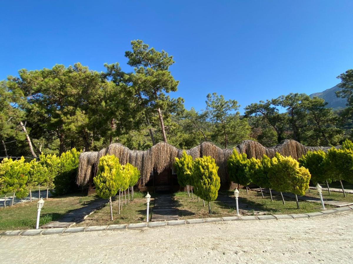 Green Pine Bungalows & Beach Luxury Concept Ölüdeniz Eksteriør billede