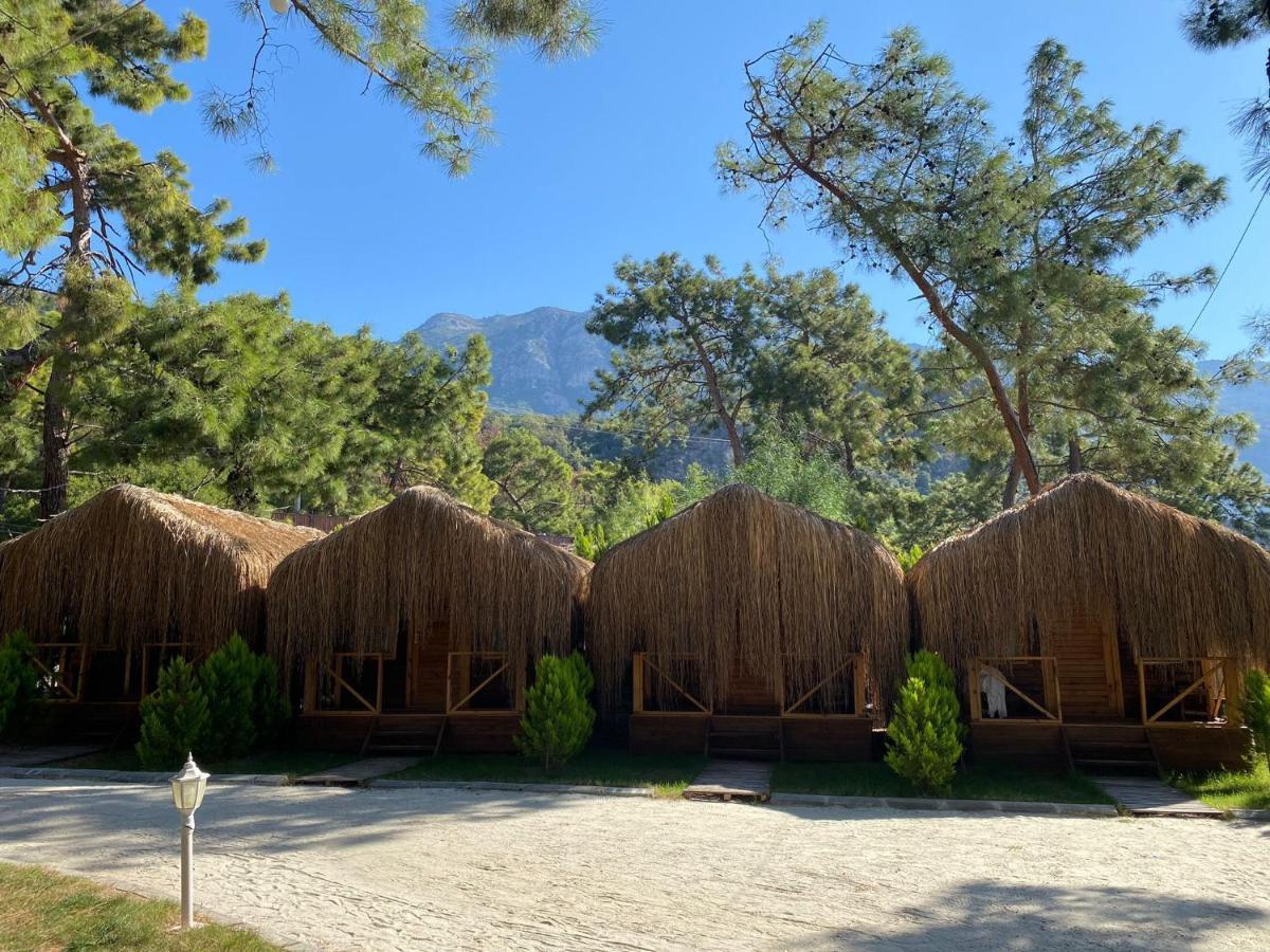Green Pine Bungalows & Beach Luxury Concept Ölüdeniz Eksteriør billede