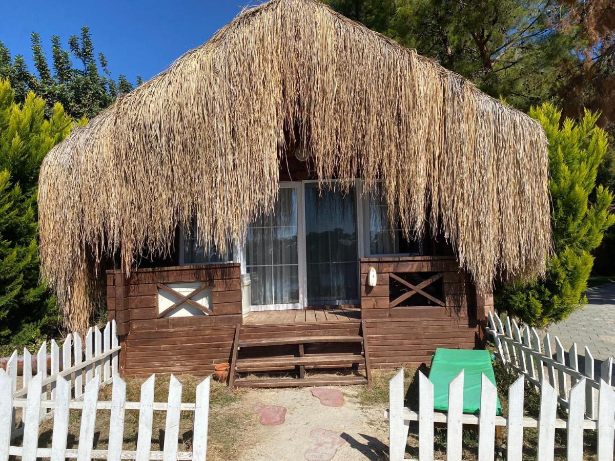 Green Pine Bungalows & Beach Luxury Concept Ölüdeniz Eksteriør billede