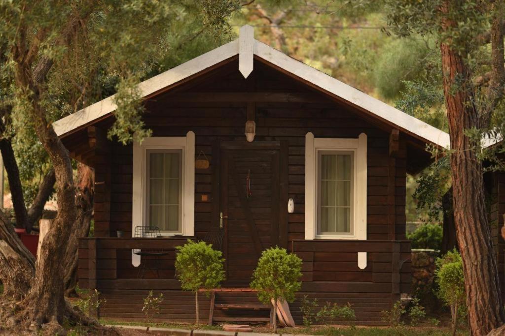 Green Pine Bungalows & Beach Luxury Concept Ölüdeniz Eksteriør billede