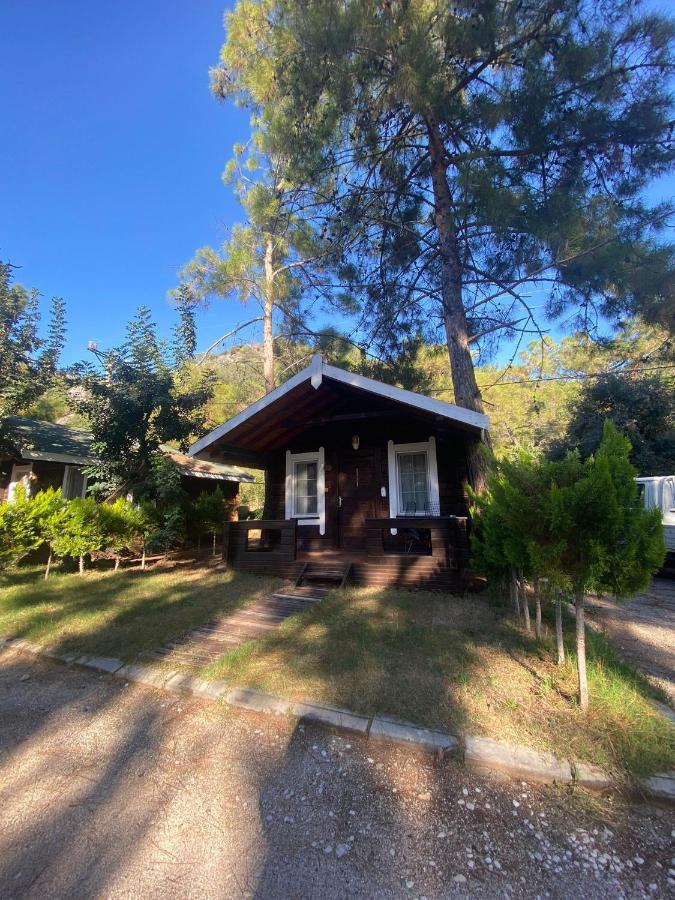Green Pine Bungalows & Beach Luxury Concept Ölüdeniz Eksteriør billede