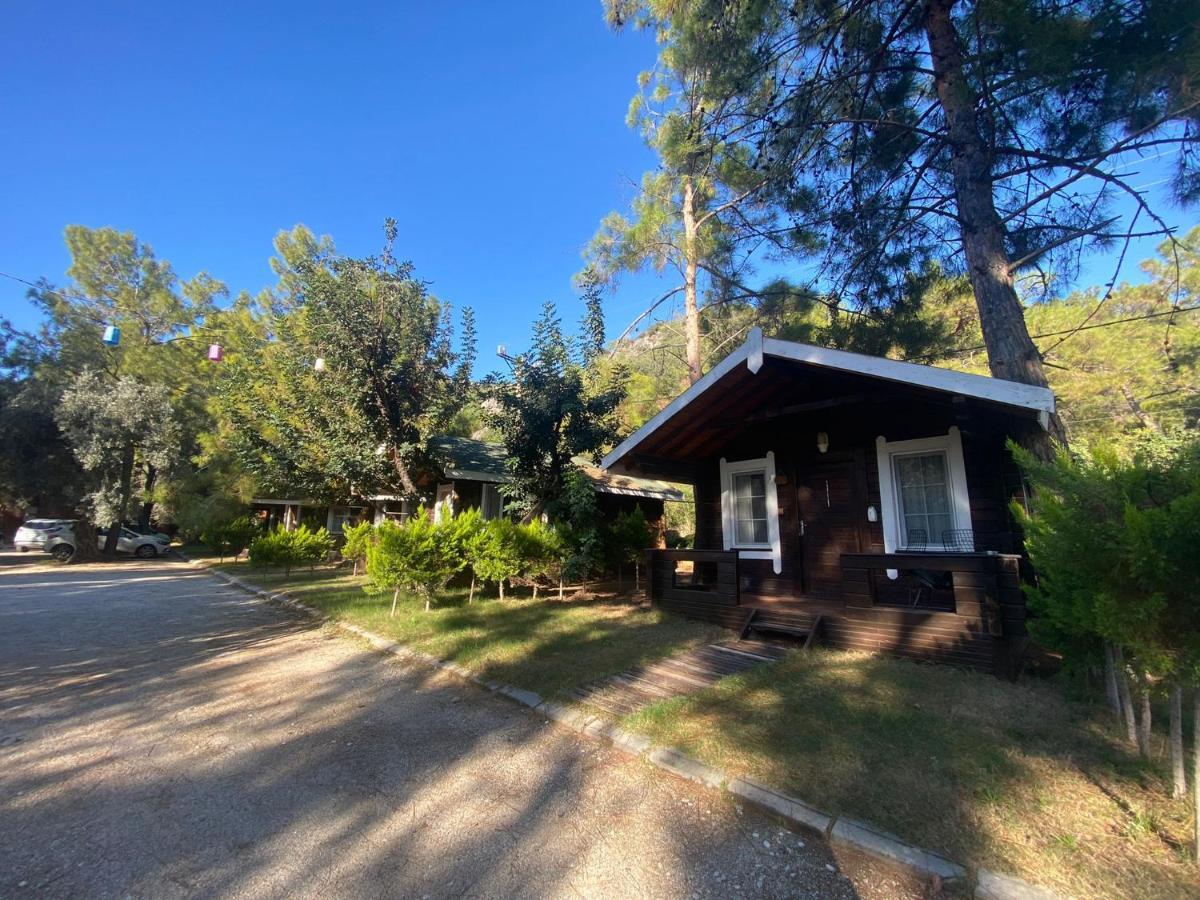Green Pine Bungalows & Beach Luxury Concept Ölüdeniz Eksteriør billede
