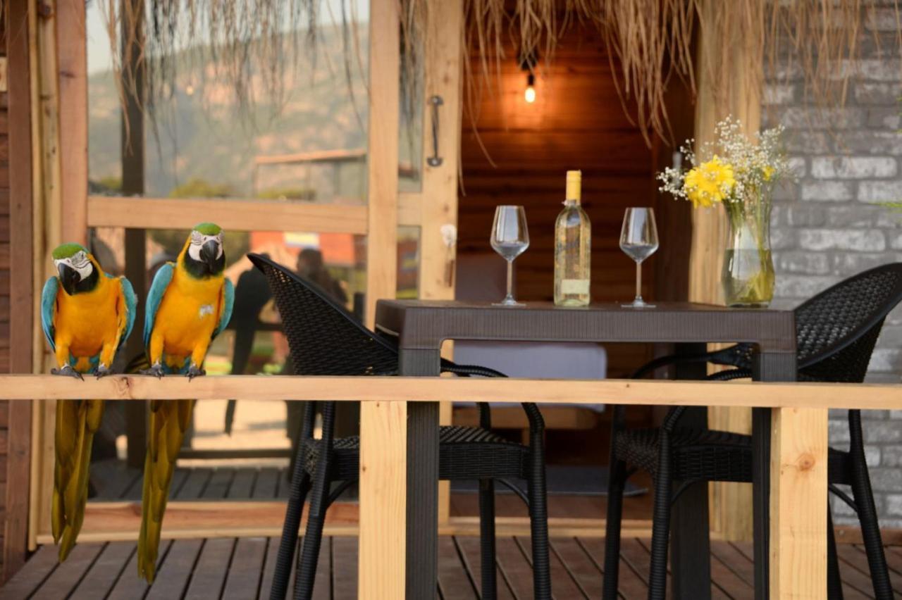 Green Pine Bungalows & Beach Luxury Concept Ölüdeniz Eksteriør billede